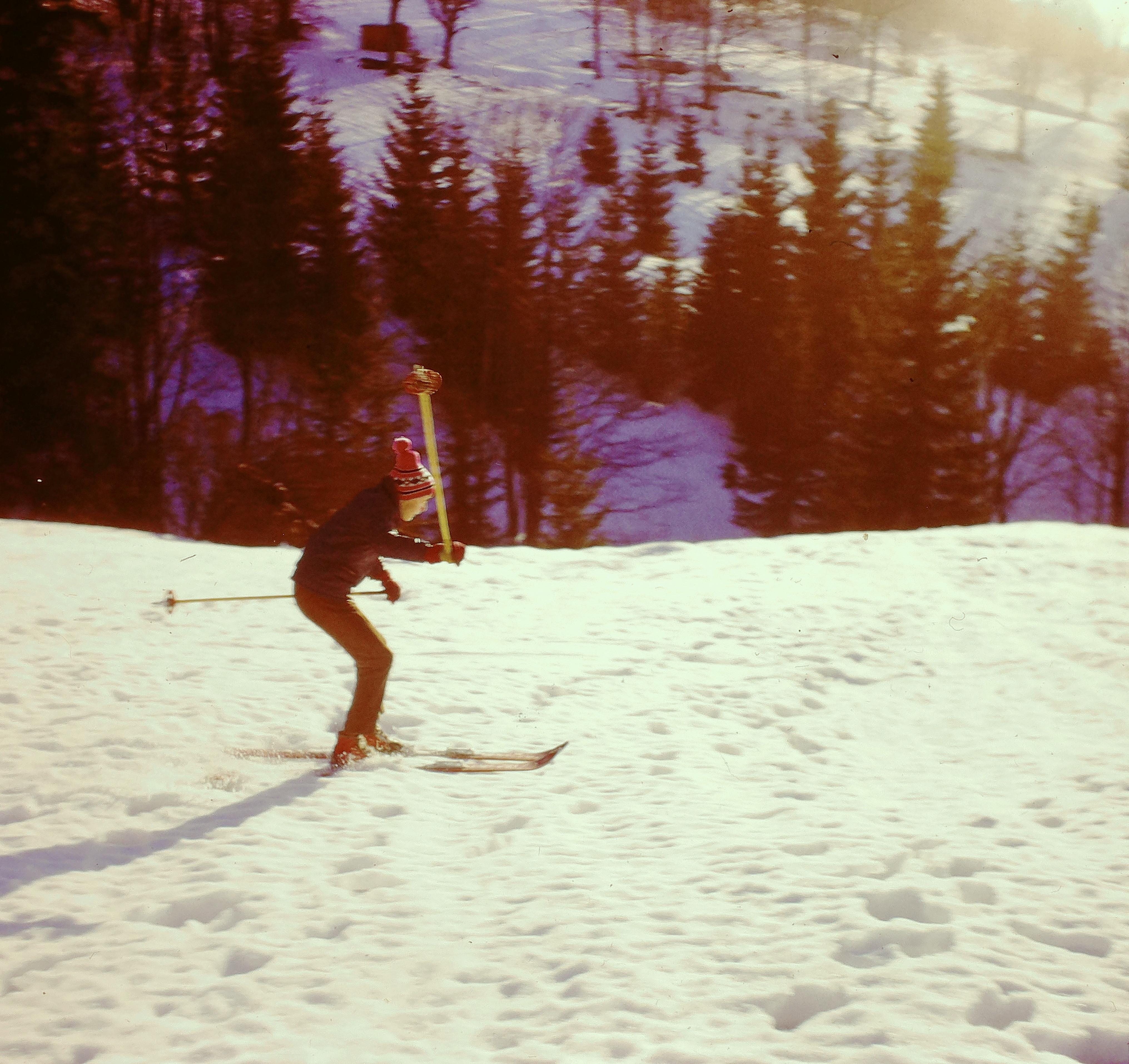 1976_sokol_chata_3.jpg