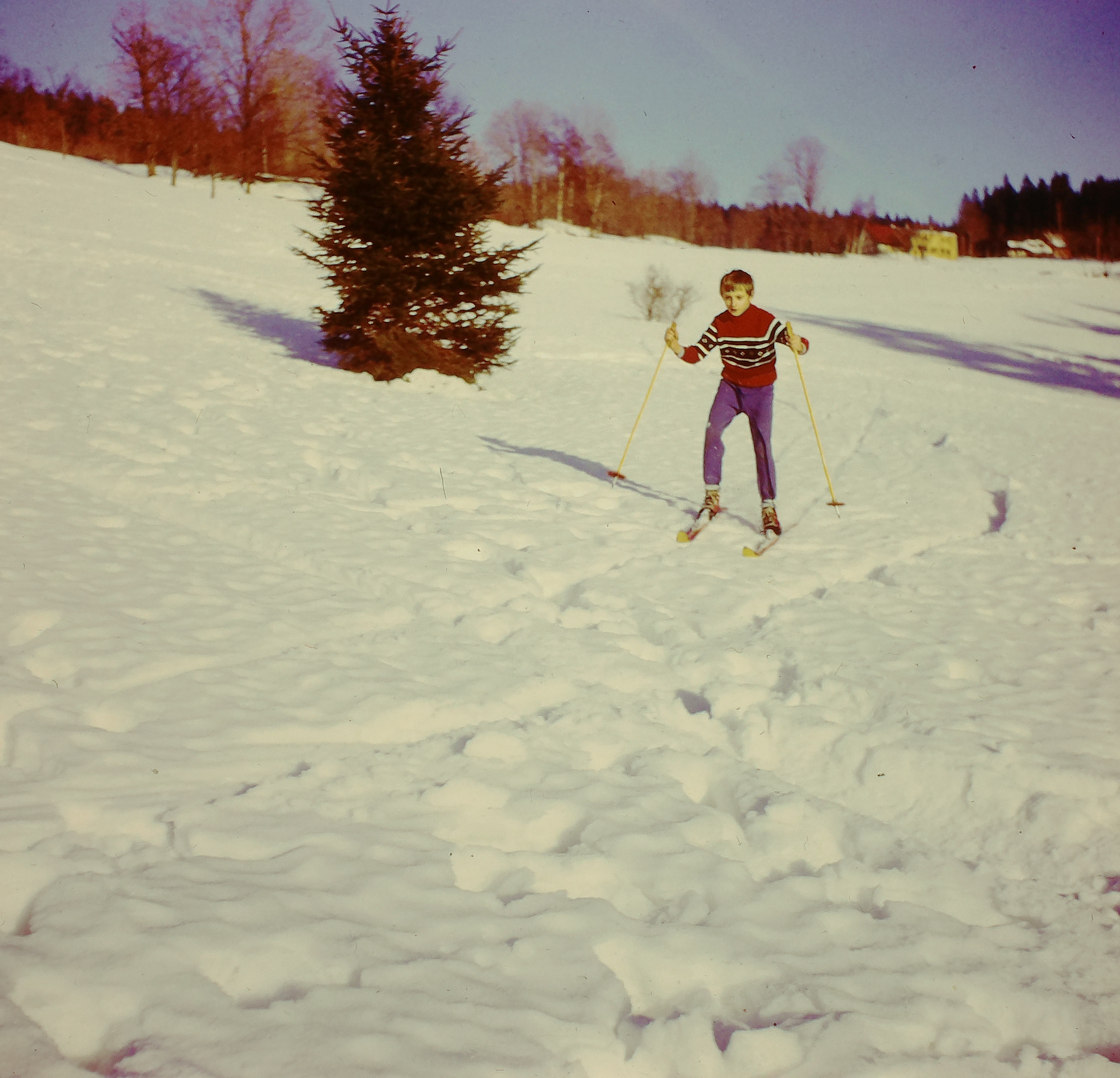 1976_sokol_chata_5.jpg