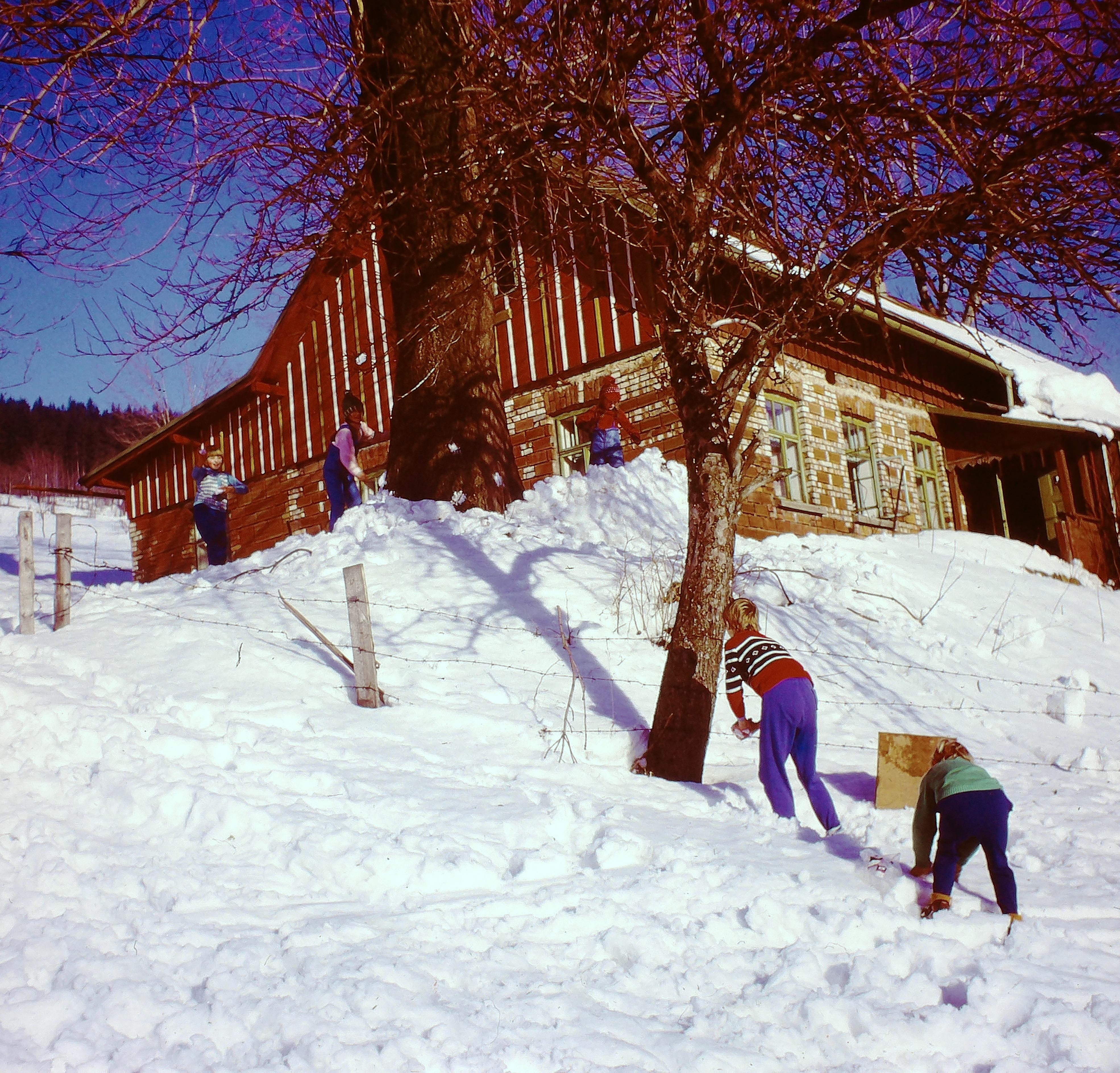 1976_sokol_chata_8.jpg