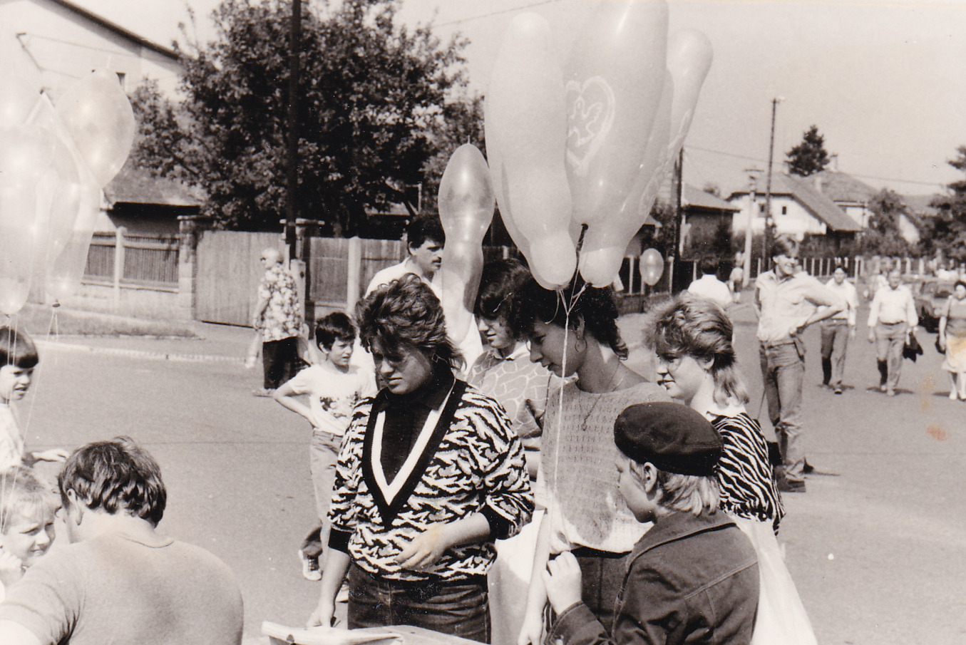 1988_20_houstka_stara_boleslav.jpg