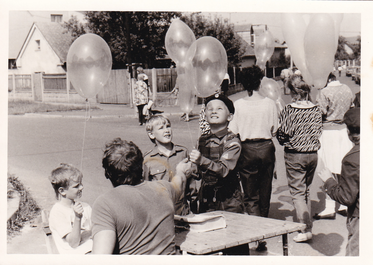 1988_21_houstka_stara_boleslav.jpg