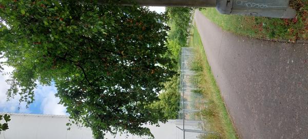 Chodníky/komunikace