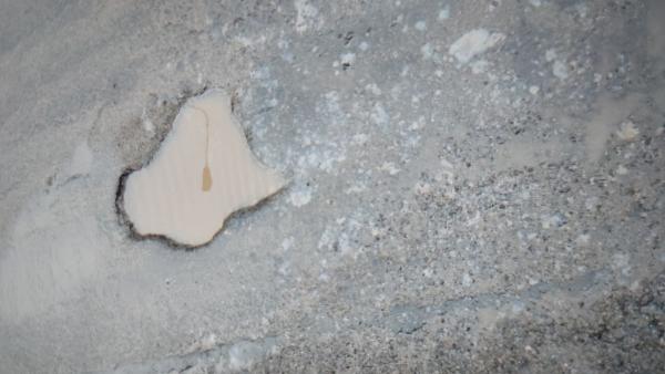 Chodníky/komunikace