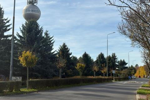 Ilustrační obrázek k projektu Obnova intravilánové zeleně