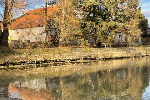 Ilustrační obrázek k projektu Revitalizace rybníka