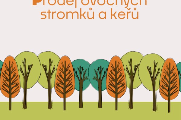 Prodej ovocných stromků a keřů 