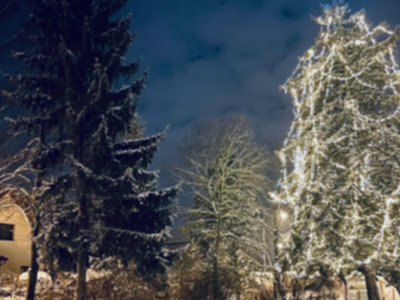 Šablona nový web (13)