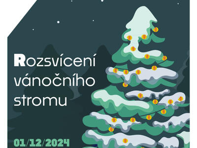 Strom_fb