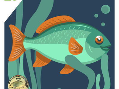 Online-vylov_rybníka_1