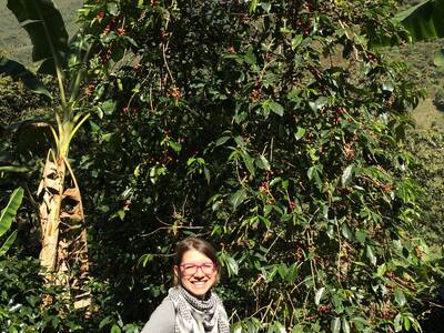 U kávového keře